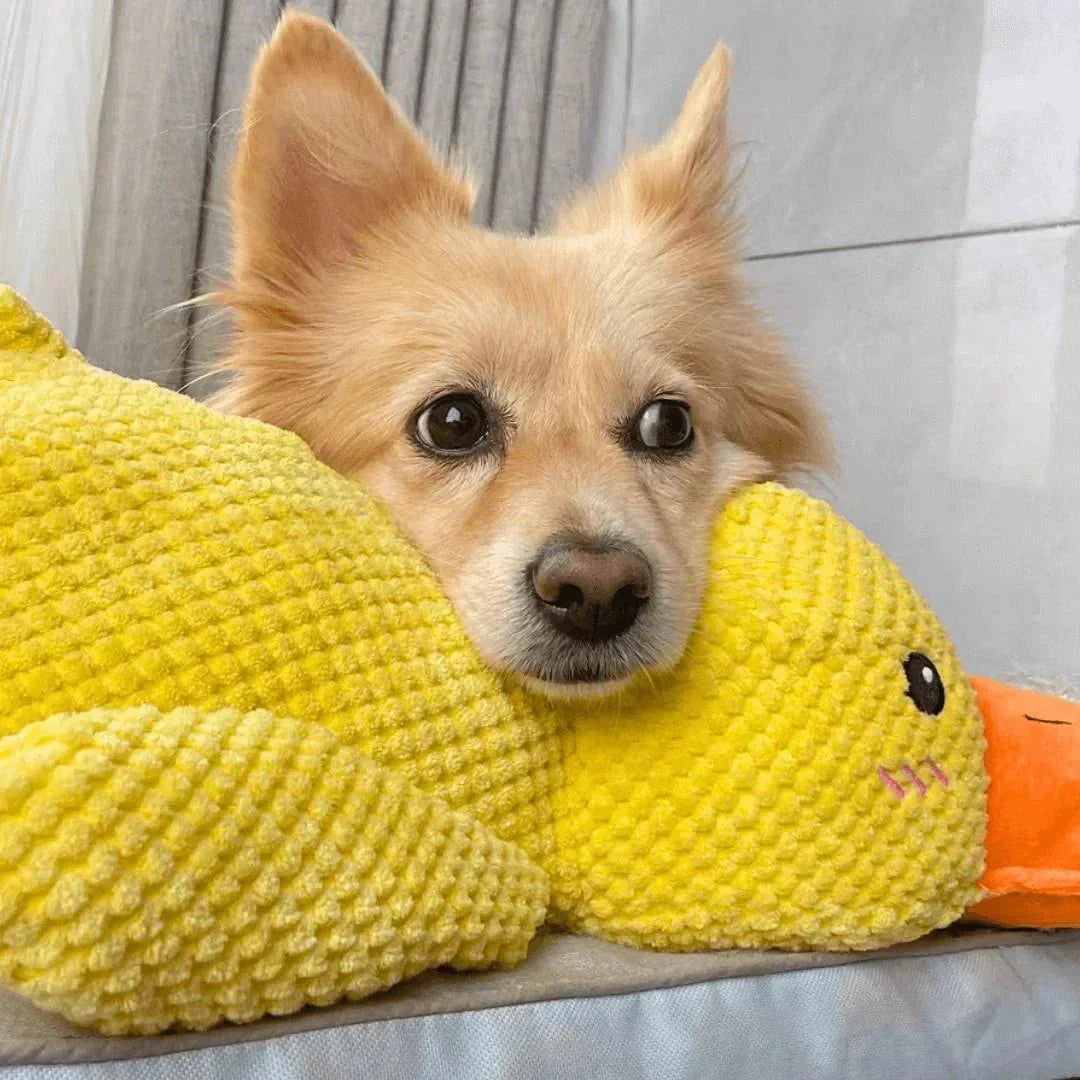 Robustes quakendes Enten-Kauspielzeug für Hunde zur Linderung von Angst