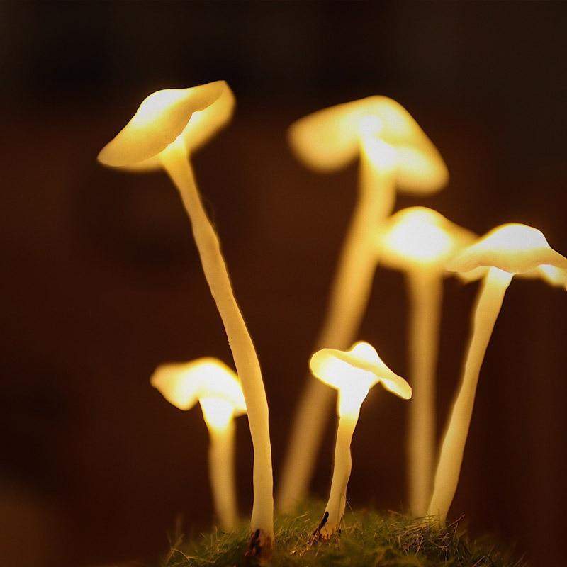 Individuell gestaltbare batteriebetriebene DIY-Tischlampe mit Pilzgruppe