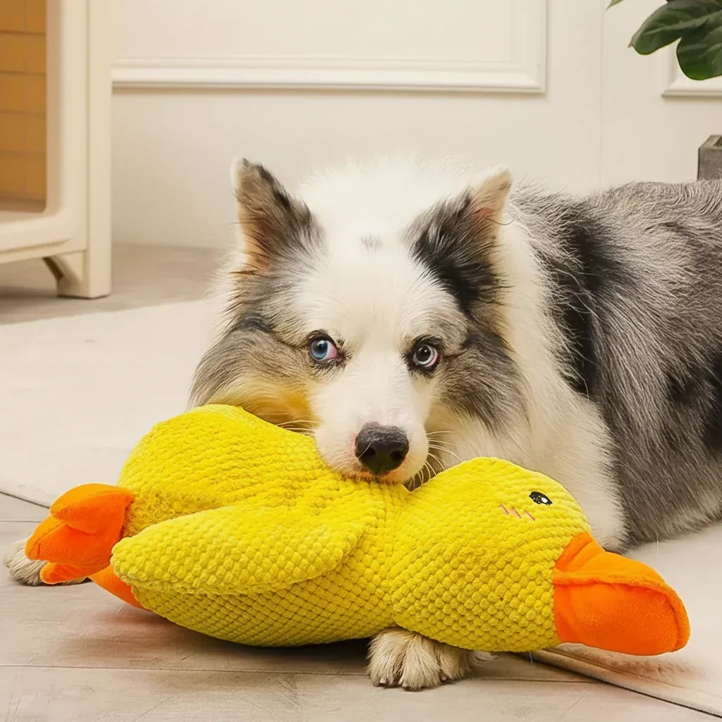 Robustes quakendes Enten-Kauspielzeug für Hunde zur Linderung von Angst